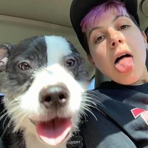 Meet your Posher, Sam